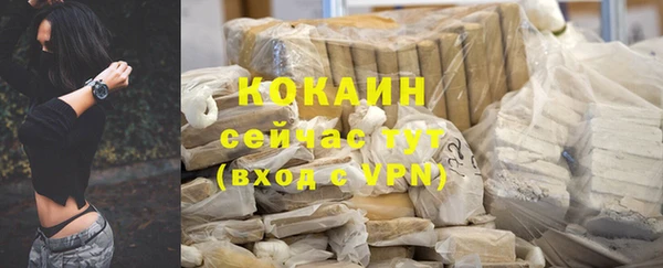 кокс Алексин