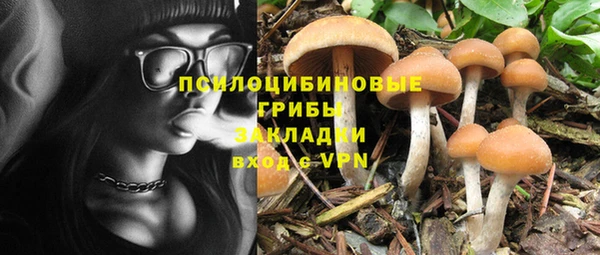 дживик Алзамай