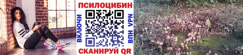 Псилоцибиновые грибы прущие грибы  Дно 